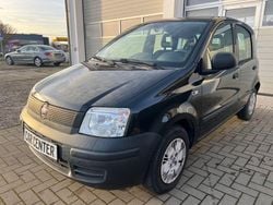 Schwarz Gebraucht 2010 Fiat Panda Active Kleinwagen | 2.490 € (Guter Preis)