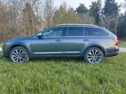 Grau Gebraucht 2019 Skoda Octavia Limousine | 17.800 € (Etwas zu teuer)