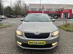 Beige Gebraucht 2014 Skoda Octavia Elegance Kombi | 6.200 € (Superpreis)