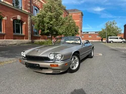 Beige Gebraucht 1994 Jaguar XJS Cabrio | 22.790 €