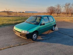 Grün Gebraucht 1994 Peugeot 106 Kleinwagen | 1.250 €