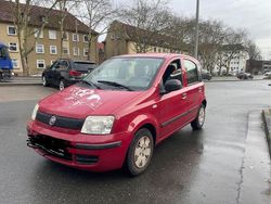 Rot Gebraucht 2010 Fiat Panda Kleinwagen | 1.700 € (Fairer Preis)