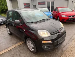Schwarz Gebraucht 2016 Fiat Panda Pop Kleinwagen | 5.990 € (Guter Preis)
