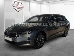 Grau Gebraucht 2024 Skoda Octavia Kombi | 32.499 € (Guter Preis)