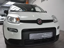 Weiß Gebraucht 2021 Fiat Panda City Life Kleinwagen | 9.880 € (Fairer Preis)