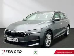 Neu 2025 Skoda Octavia Selection | 38.990 € (Guter Preis)