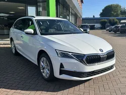 Moonweiß Neu 2025 Skoda Octavia Kombi | 32.963 € (Guter Preis)