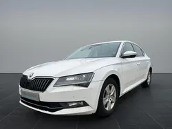 Candyweiss Gebraucht 2017 Skoda Superb Limousine | 7.500 €