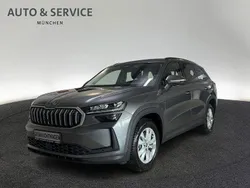 Grau Gebraucht 2024 Skoda Kodiaq Selection SUV | 44.960 € (Guter Preis)
