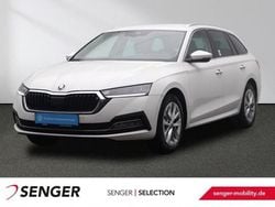 Candy weiss Gebraucht 2023 Skoda Octavia Style Kombi | 22.480 € (Guter Preis)