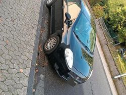 Schwarz Gebraucht 2010 Fiat Punto Kleinwagen | 3.000 €
