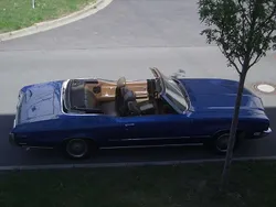 Blau Gebraucht 1972 Buick Skylark Cabrio | 14.000 €