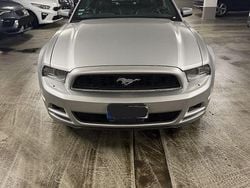 Silber Gebraucht 2013 Ford Mustang Cabrio | 16.500 € (Guter Preis)