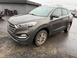 Grau Gebraucht 2017 Hyundai Tucson SUV | 9.000 € (Superpreis)