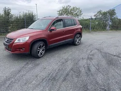 Dunkel rot Gebraucht 2008 VW Tiguan Sportline SUV | 6.799 € (Fairer Preis)