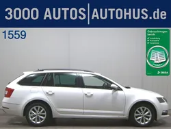 Candyweiss Gebraucht 2019 Skoda Octavia Style Kombi | 11.380 € (Superpreis)