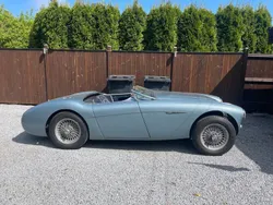 Blau Gebraucht 1954 Austin Healey 100 Cabrio | 41.500 €