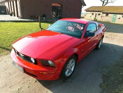 Rot Gebraucht 2005 Ford Mustang GT Premium Coupé | 17.500 € (Teuer)