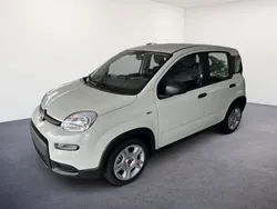 Weiss Neu 2024 Fiat Panda Kleinwagen | 16.740 €
