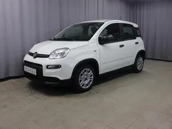 296 gelato weiß Neu 2024 Fiat Panda Kleinwagen | 13.989 € (Guter Preis)
