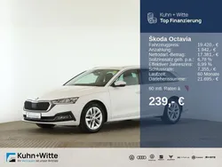 Weiß Gebraucht 2021 Skoda Octavia First Edition Kombi | 19.420 € (Guter Preis)