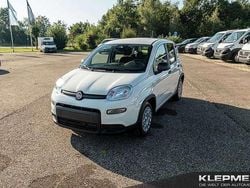 Gelato weiß Gebraucht 2024 Fiat Panda Kleinwagen | 14.290 € (Fairer Preis)