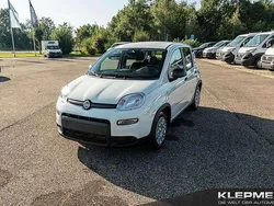 Gelato weiß Gebraucht 2024 Fiat Panda Kleinwagen | 14.290 € (Fairer Preis)