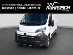 Weiss Gebraucht 2024 Opel Movano Van | 30.990 € (Etwas zu teuer)