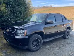 Schwarz Gebraucht 2013 Chevrolet Avalanche SUV | 14.900 €
