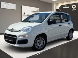 Weiß Gebraucht 2020 Fiat Panda Urban Kleinwagen | 8.988 € (Guter Preis)