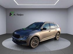 Grau Neu 2025 Skoda Kamiq Tour SUV | 29.490 € (Etwas zu teuer)