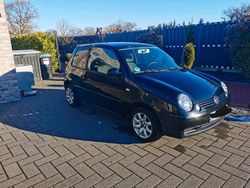 Schwarz Gebraucht 2003 VW Lupo Kleinwagen | 1.450 € (Fairer Preis)