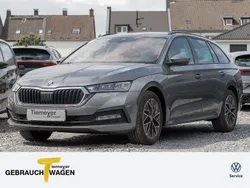 Grau Gebraucht 2023 Skoda Octavia Ambition Kombi | 28.990 € (Fairer Preis)