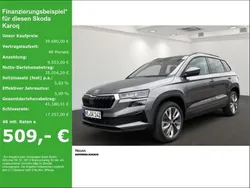 Grau Gebraucht 2025 Skoda Karoq Selection SUV | 39.680 € (Teuer)