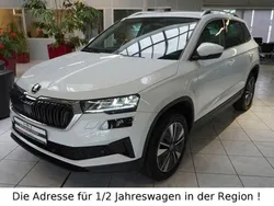 Blackmagicperleffekt Neu 2025 Skoda Karoq Selection SUV | 33.990 € (Guter Preis)