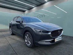 Grau Gebraucht 2024 Mazda CX-30 Exclusive-Line SUV | 30.480 € (Guter Preis)