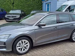 Grau Gebraucht 2024 Skoda Octavia Selection Kombi | 27.980 € (Superpreis)