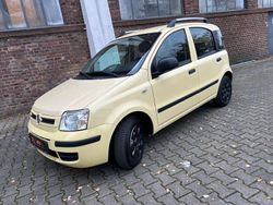 Gelb Gebraucht 2009 Fiat Panda Dynamic Kleinwagen | 3.490 € (Etwas zu teuer)