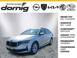 Silber Gebraucht 2024 Skoda Octavia Ambition Kombi | 27.970 € (Superpreis)