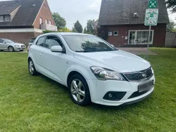 Weiß Gebraucht 2012 Kia Ceed Kleinwagen | 3.200 € (Guter Preis)