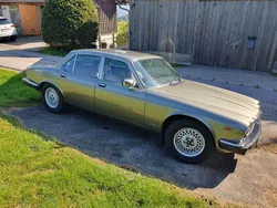 Grün Gebraucht 1987 Jaguar XJ12 Sovereign Limousine | 10.900 €