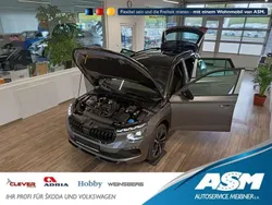 Grau Neu 2025 Skoda Kamiq Monte Carlo SUV | 32.909 € (Etwas zu teuer)
