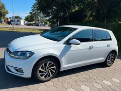 Weiß Gebraucht 2017 VW Golf VII Sound Limousine | 14.600 € (Etwas zu teuer)