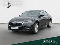 Schwarz Gebraucht 2022 Skoda Octavia Ambition Limousine | 23.990 € (Guter Preis)
