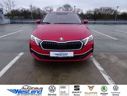 Velvetrot Gebraucht 2025 Skoda Octavia Selection Kombi | 36.900 € (Fairer Preis)