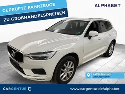 Ice white Gebraucht 2020 Volvo XC60 Momentum SUV | 23.097 € (Superpreis)