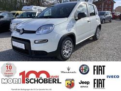 Gelato weiß Neu 2025 Fiat Panda Kleinwagen | 15.990 € (Fairer Preis)