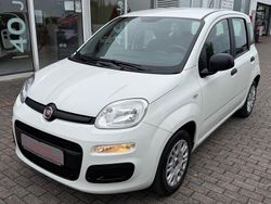 Weiß Gebraucht 2020 Fiat Panda Easy Kleinwagen | 8.790 € (Fairer Preis)