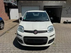 Weiß Gebraucht 2016 Fiat Panda Kleinwagen | 4.499 € (Fairer Preis)