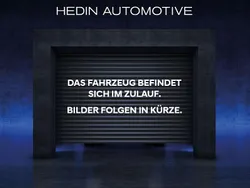 Grau Neu 2025 BYD Dolphin Design Kleinwagen | 34.989 € (Teuer)